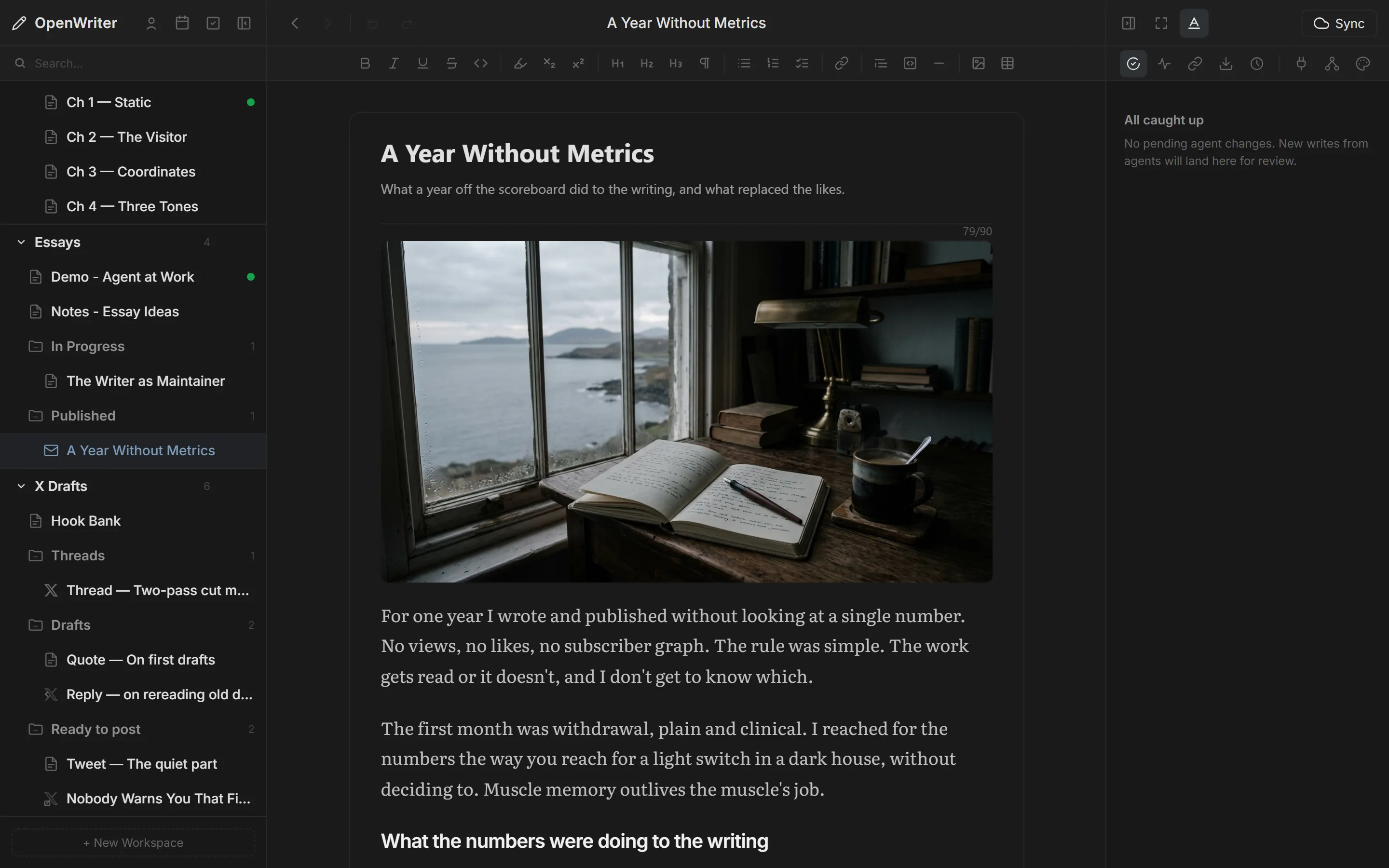 OpenWriter newsletter draft view with style preset options