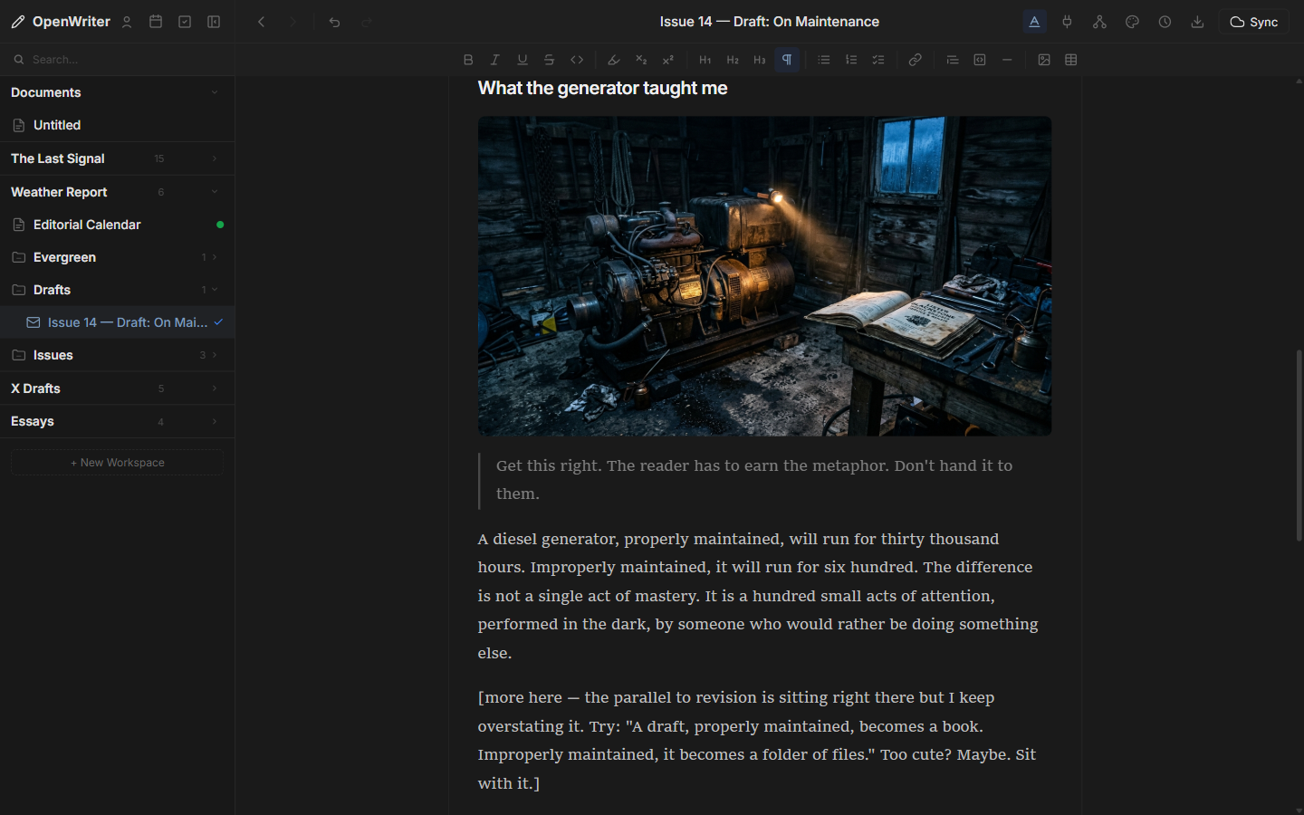OpenWriter newsletter draft view with style preset options